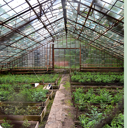 Σύγχρονες εγκαταστάσεις θερμοκηπίων